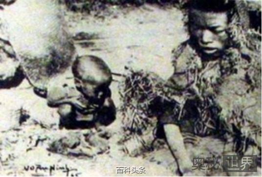 日军占领越南致饿死两百万人