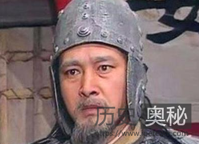 蜀汉在魏延死后，除了姜维之外，还还有多少大将？