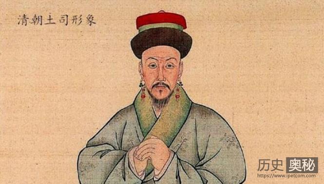 什么是“改土归流”政策？