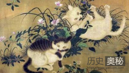 古人为何从不吃猫