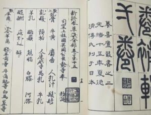 《新修本草》：世界上最早出现的药典