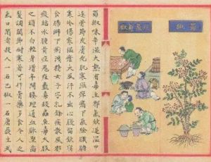《雷公炮炙论》：最早的中药炮制学著作