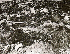 二战中日军强迫南京难民收尸